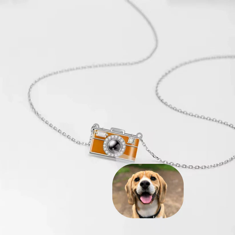 Memória Pet | Onde o Amor Reflete